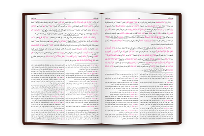 Tafsir al-Jalalayn 2 Vol - تفسير الجلالين