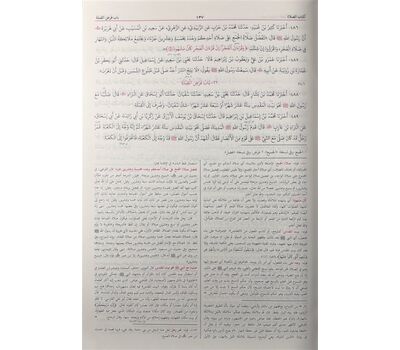 Sunan al-Nasai - سنن النسائي