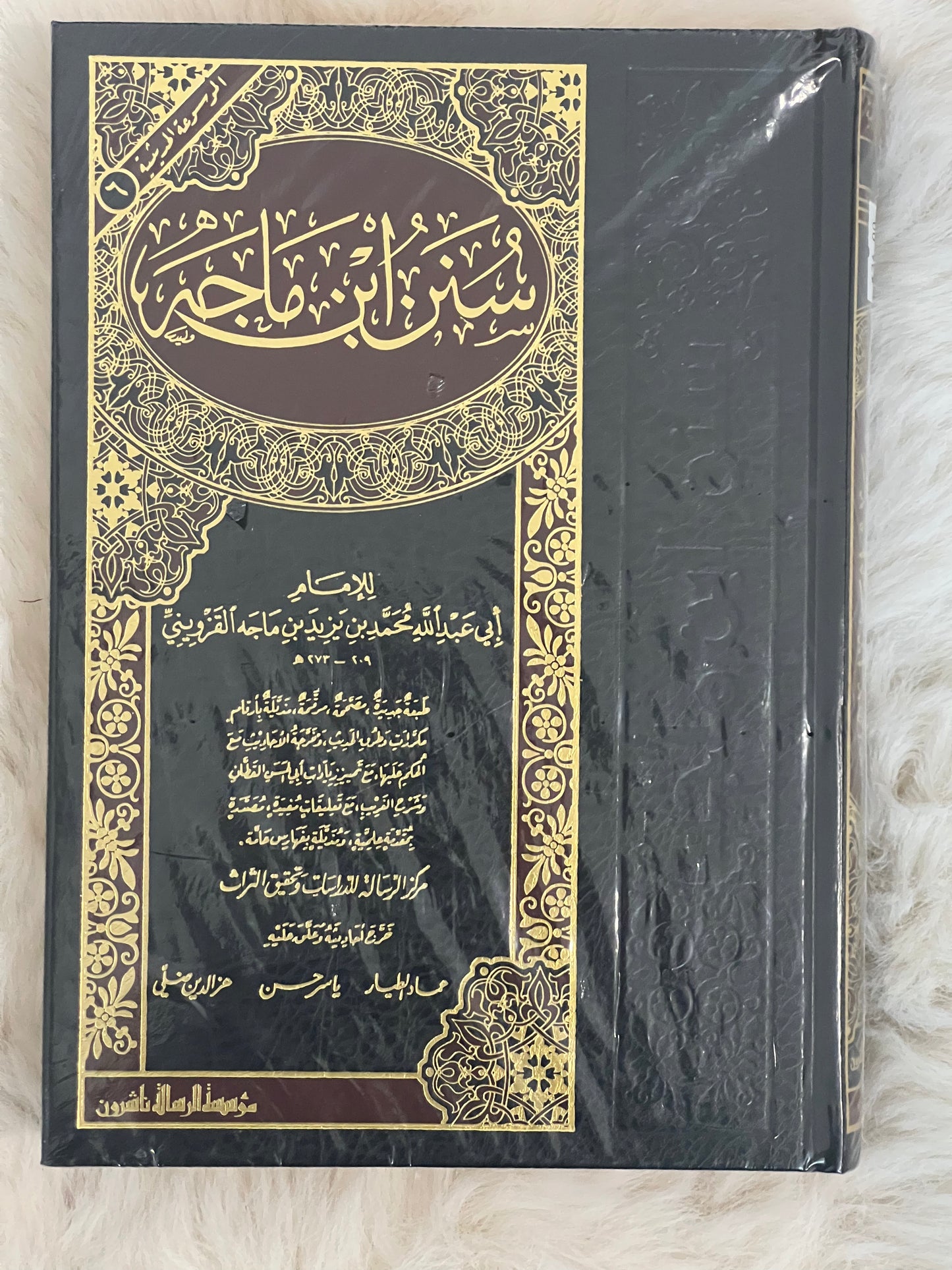 Sunan Ibn Majah - سنن ابن ماجه